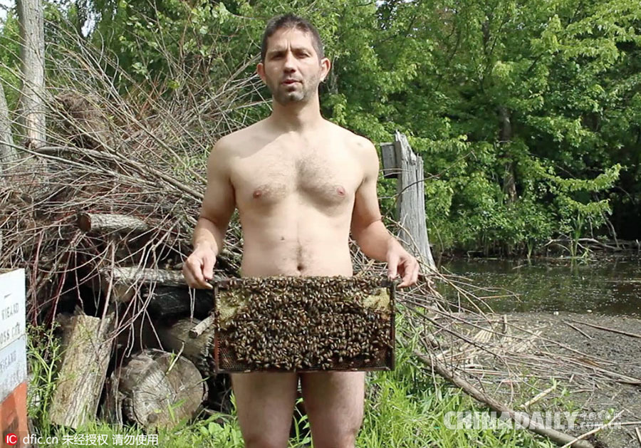 美国小哥全裸提蜂房 面对上千只蜜蜂淡定自若