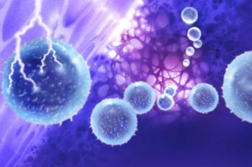 通过靶向Ferroptosis可以改善癌症免疫疗法